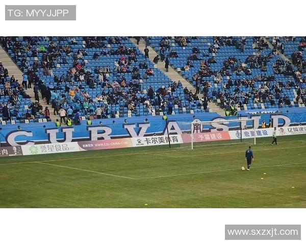 足球lnl带你领略世界足球盛宴尽享激情与荣耀的完美结合